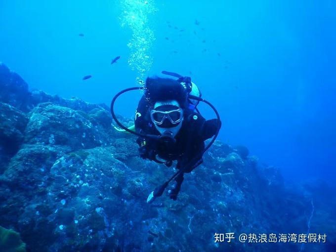 惊叹高考结束,对专业选择不太了解?,冷知識分享平台震撼登場!