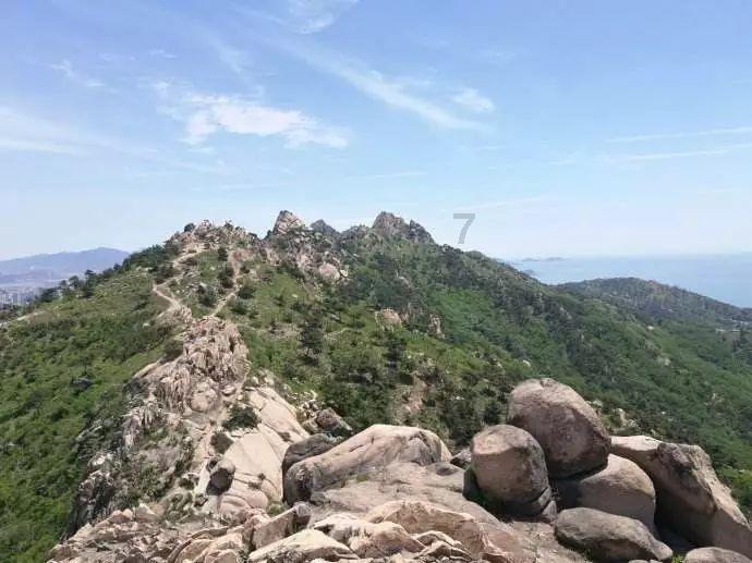 想去「踏春采茶」，国内有哪些茶园特别适合观光游玩？游戏画面